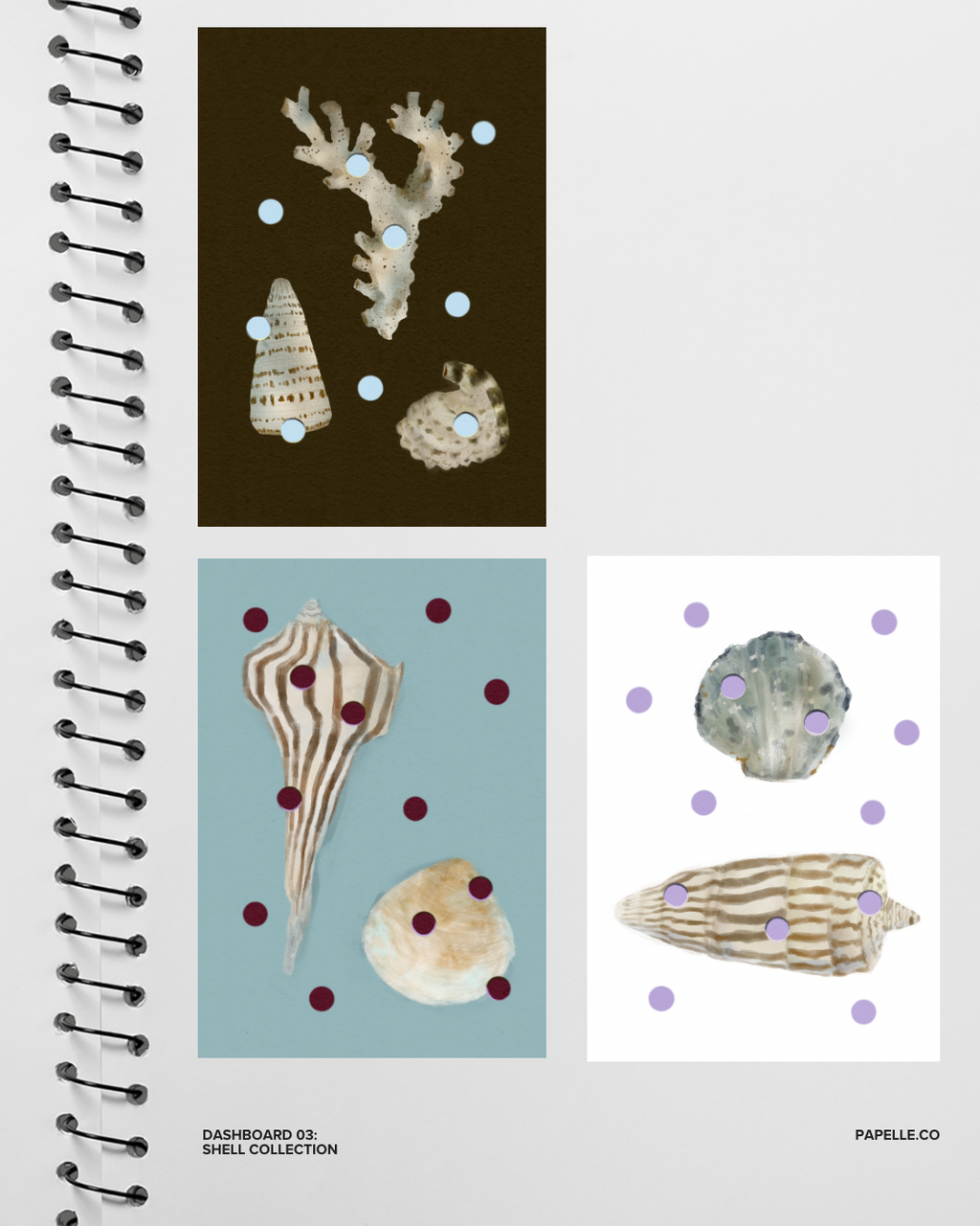 Design 03: Shell Collection