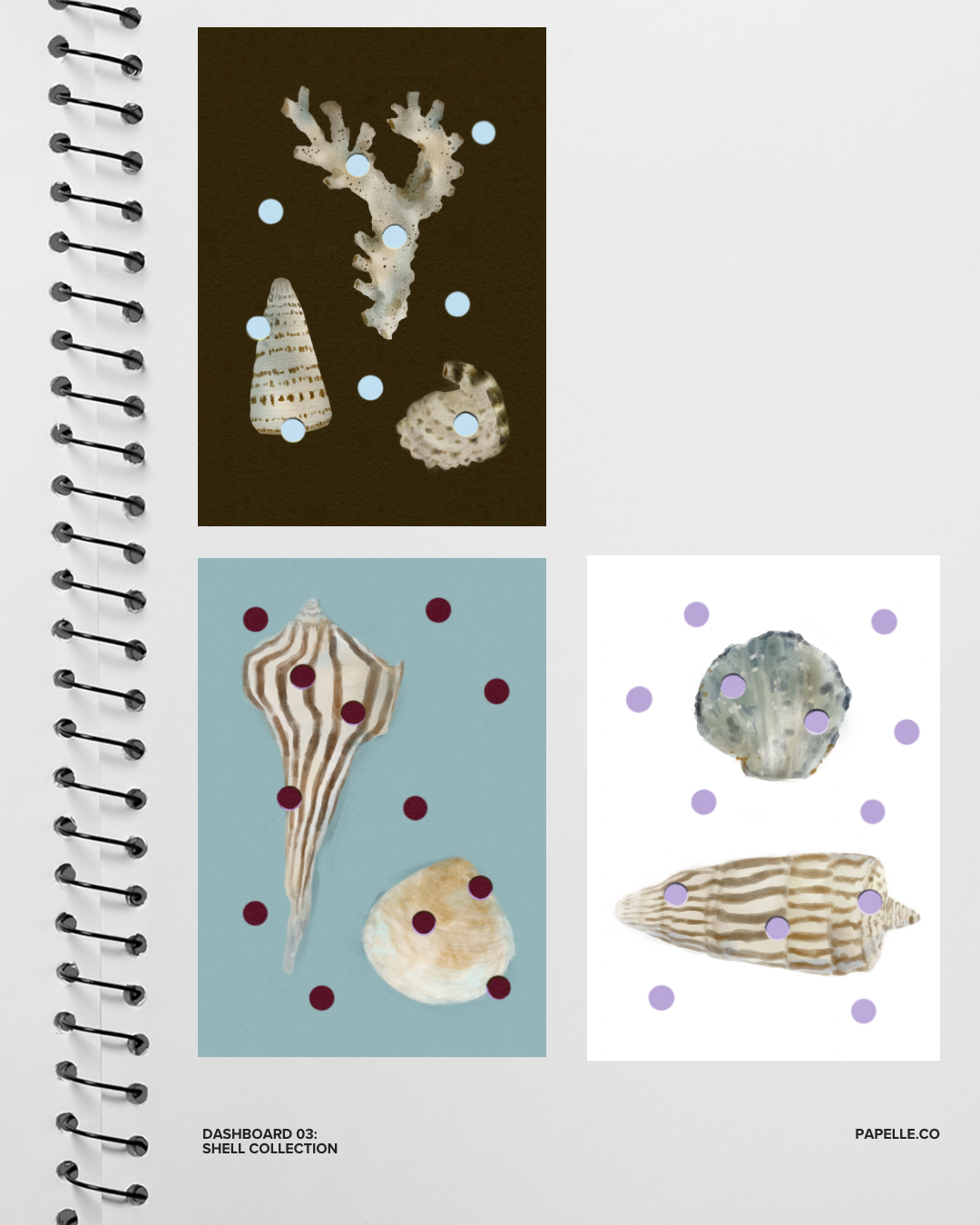 Design 03: Shell Collection
