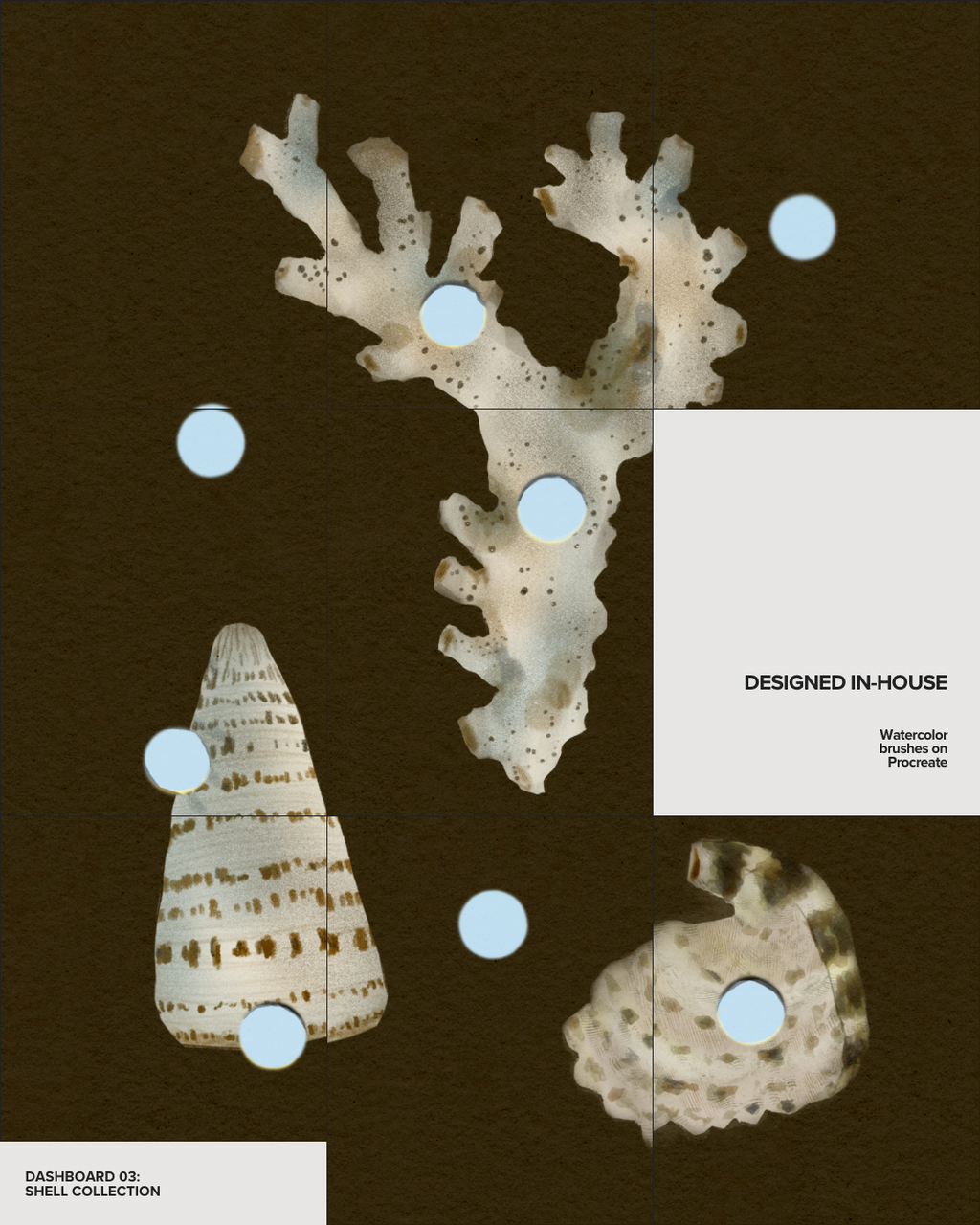 Design 03: Shell Collection