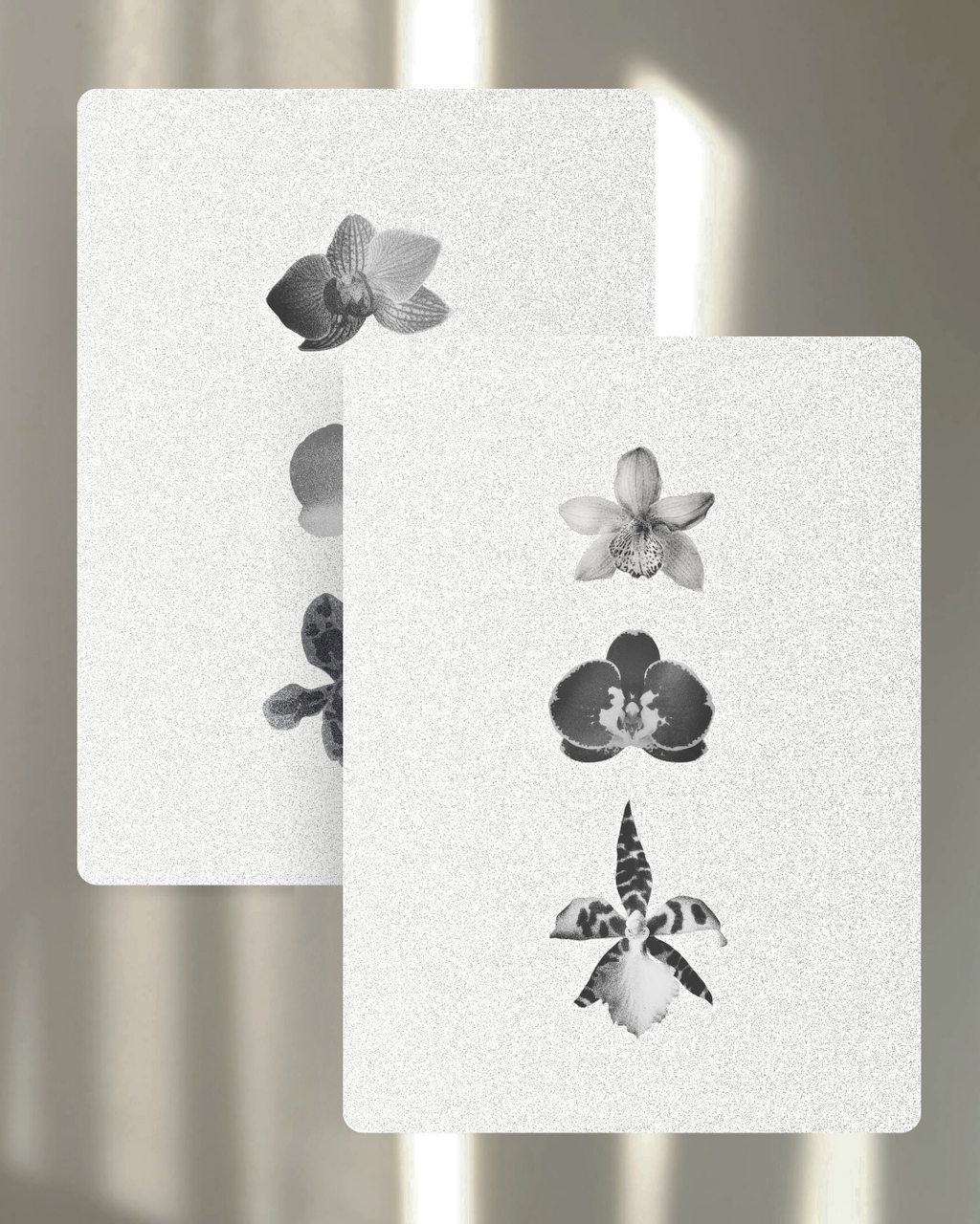 Dashboard 01: Objects & Textures