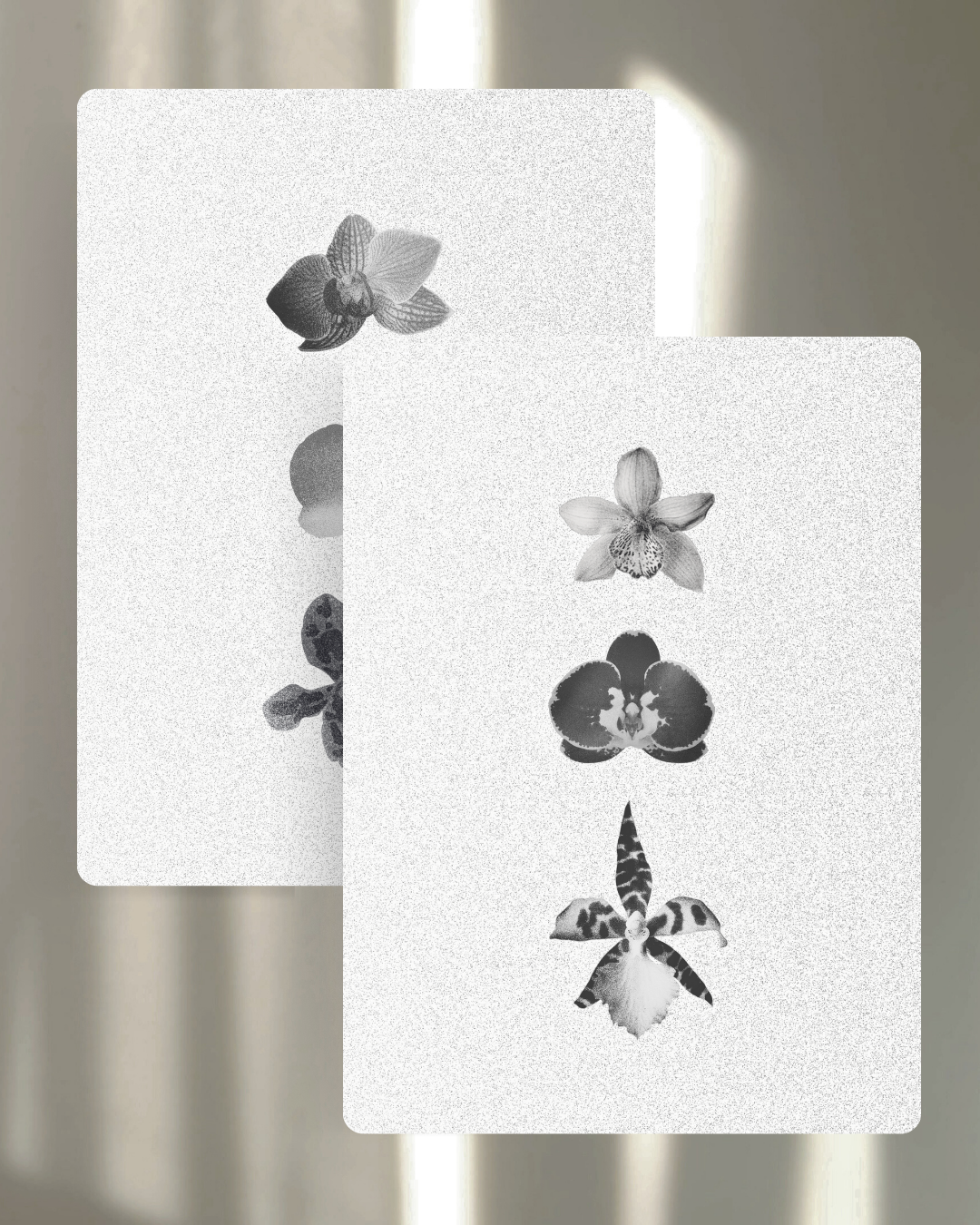 Dashboard 01: Objects & Textures