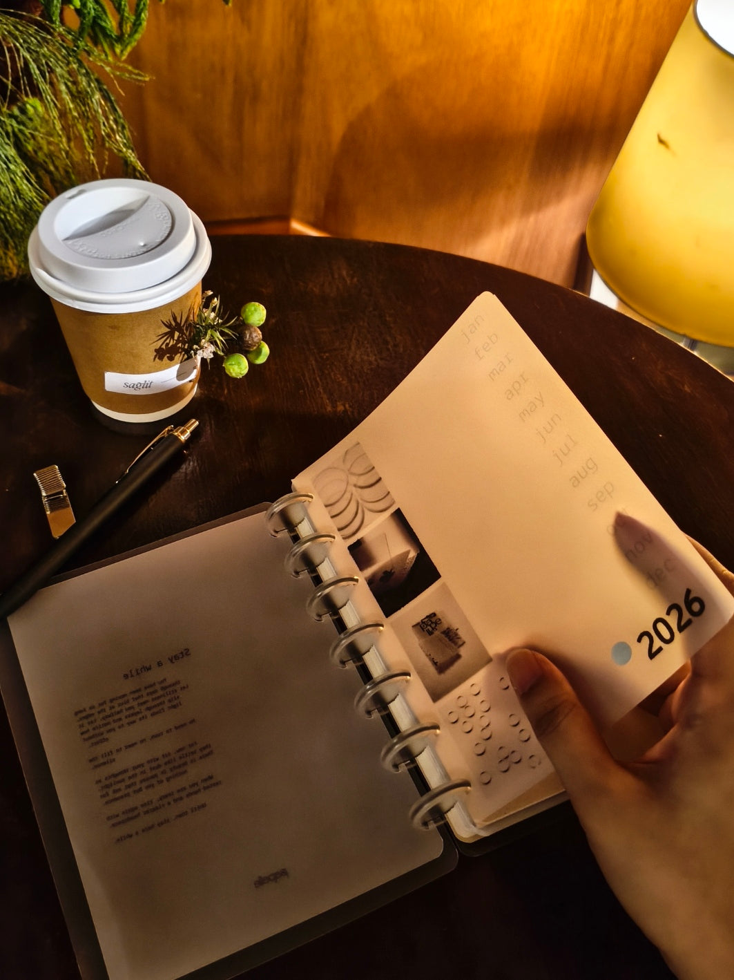 Dashboard 02: Introspect