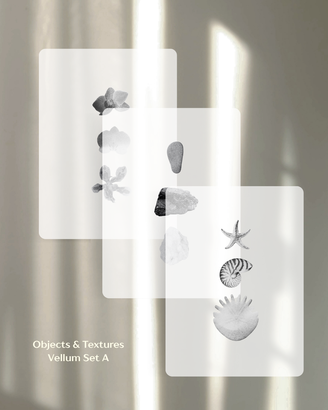 Objects & Textures Vellum Set