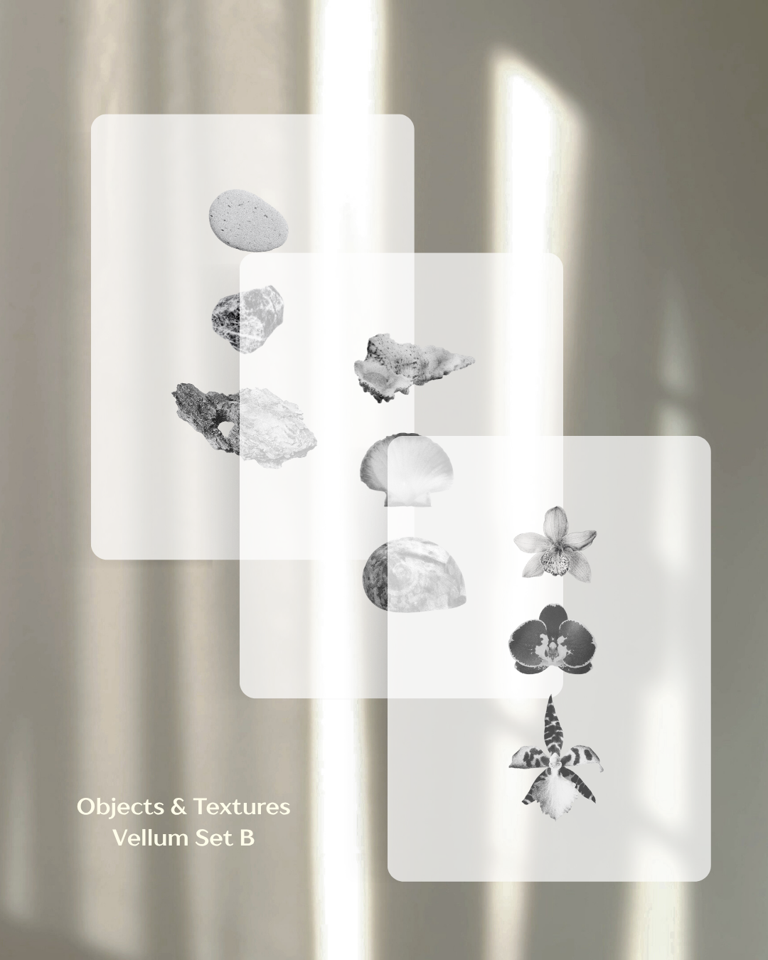 Objects & Textures Vellum Set