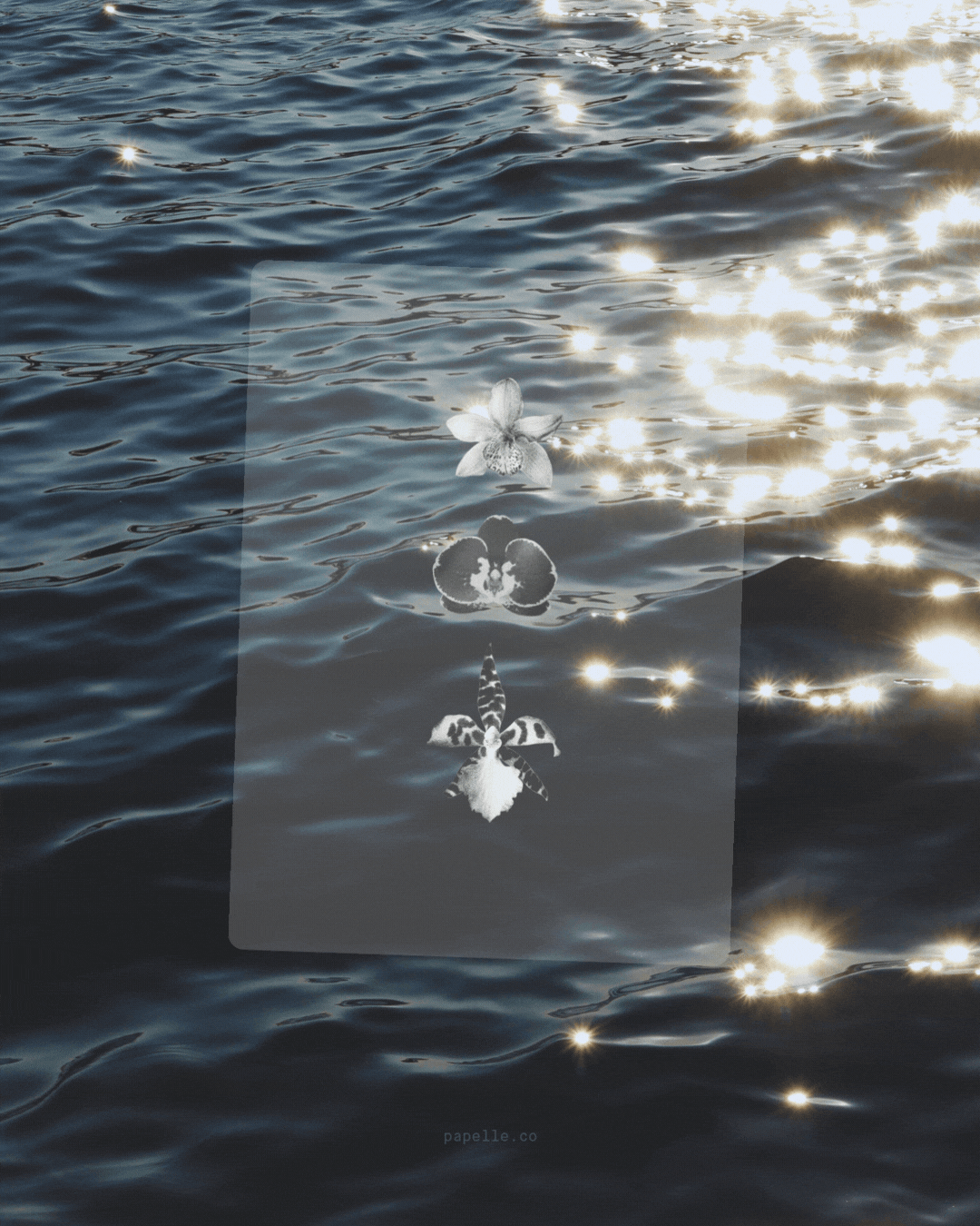 Objects & Textures V.2 Dashboard Set