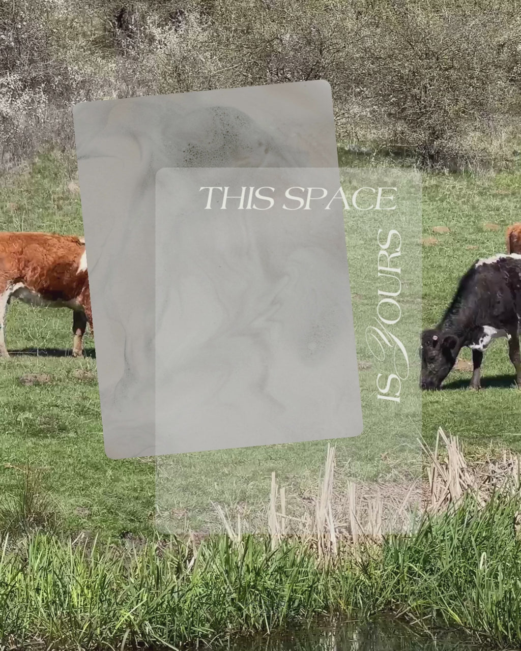 This Space Is Yours Dashboard