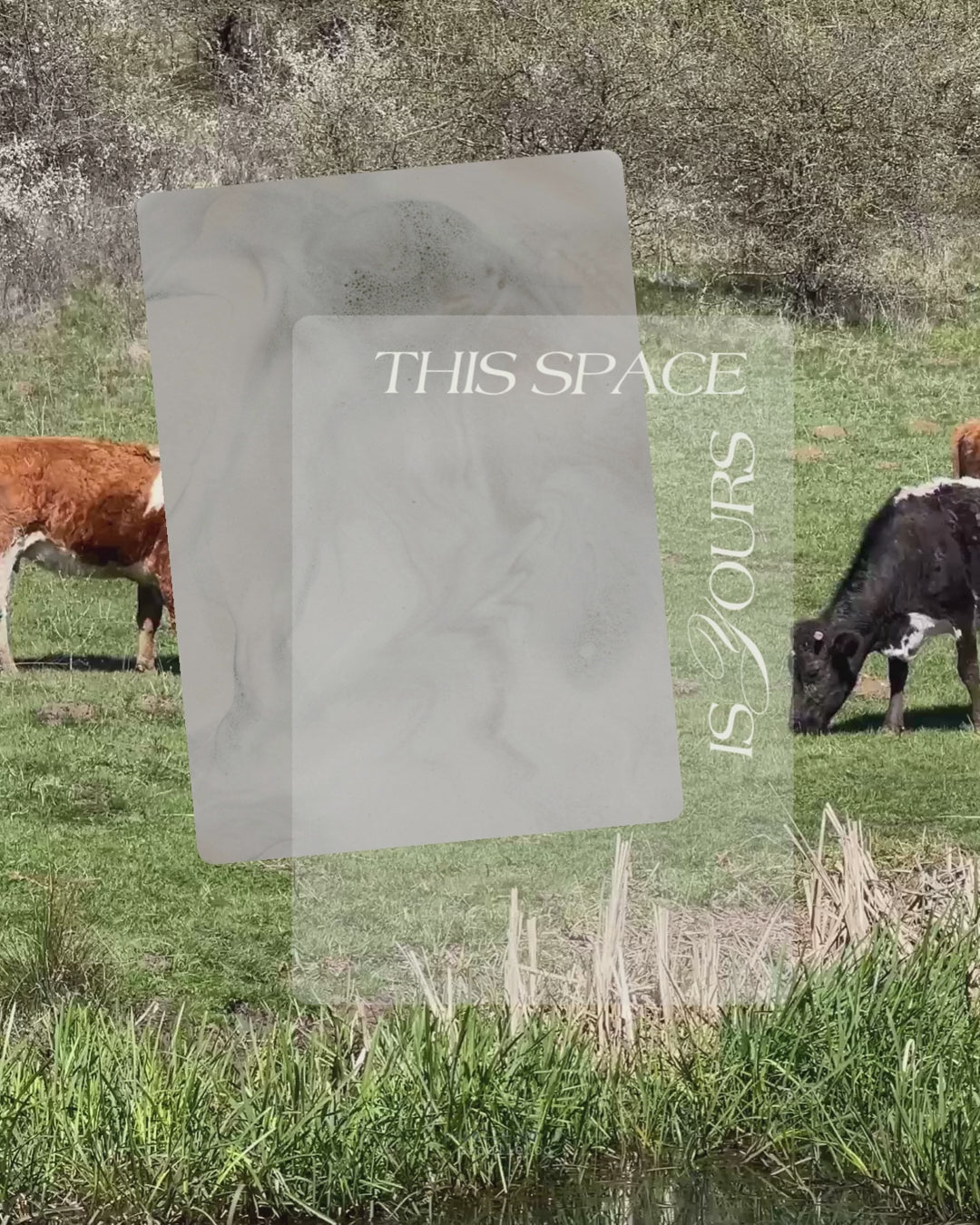 This Space Is Yours Dashboard
